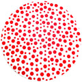 Charlo's Set of 4 Round Placemats Covers 14 Dia inch Fun Dot Polka