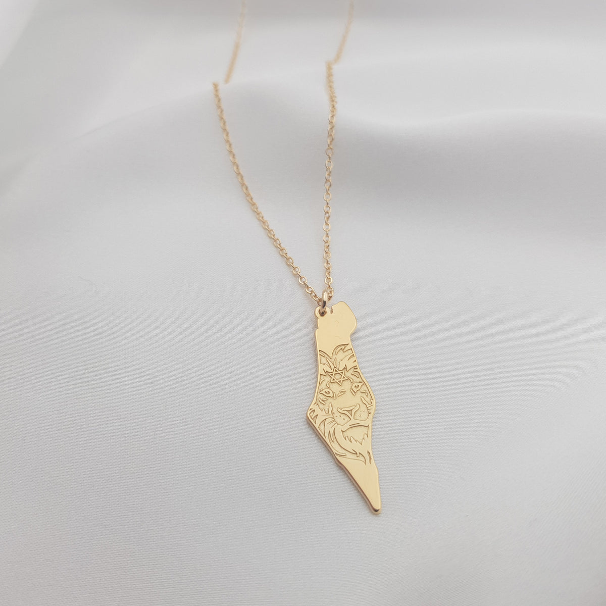 Israel Map Lion Star of David Necklace