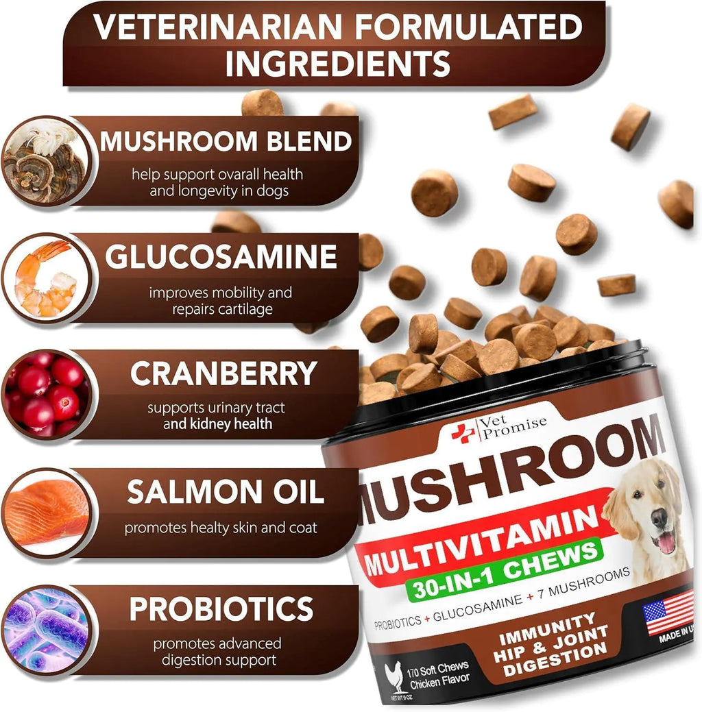 Mushroom for Dogs 170 Chews Turkey Tail Mushroom for Dogs Lions Mane Reishi
